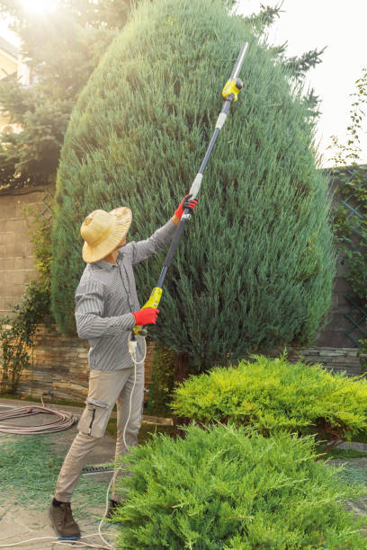 Best Storm Damage Tree Cleanup  in Newport, WA